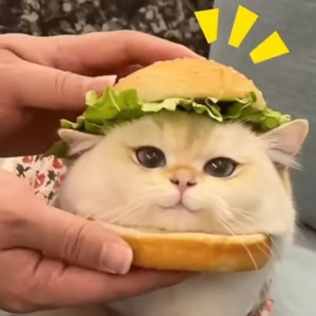 红心柚