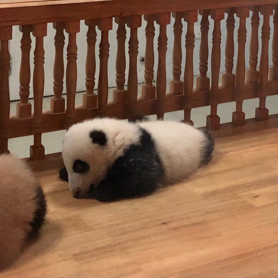 乔